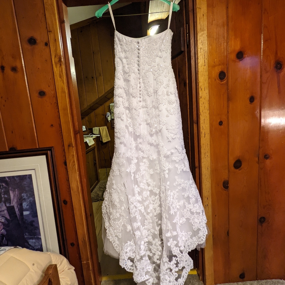 Wedding dress, lace, buttons with train